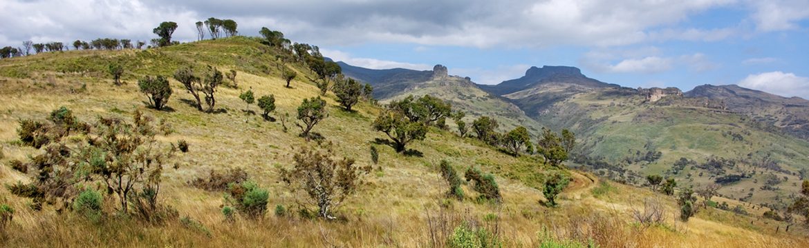 Featured image for Mount Elgon National Park