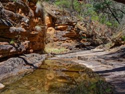 Mount Remarkable National Park canyon stream