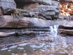 Mount Remarkable National Park stream in canyon