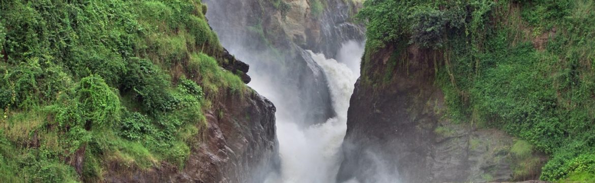 Featured image for Murchison Falls National Park
