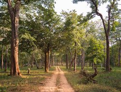 20211002175238 Road through Nagarhole National Park in India