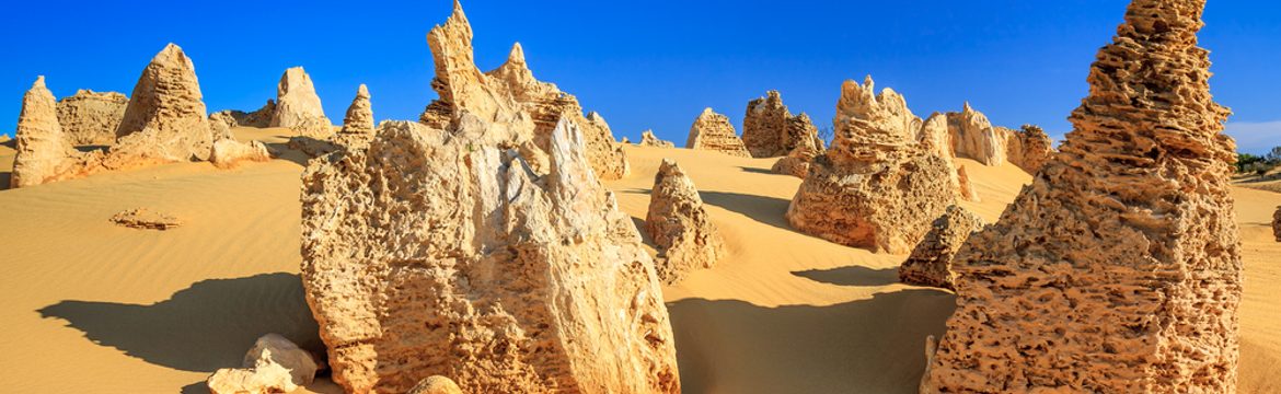 Featured image for Nambung National Park