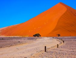 Namib Naukluft National Park largest sand dune