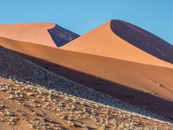Namib Naukluft National Park pair of sand dunes