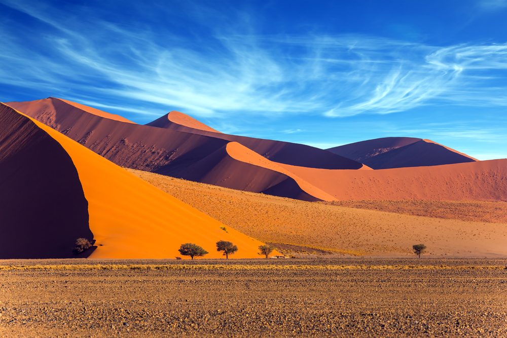 Namib-Naukluft National Park (Official GANP Park Page)