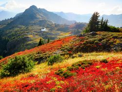 North Cascades National Park fall_545335759