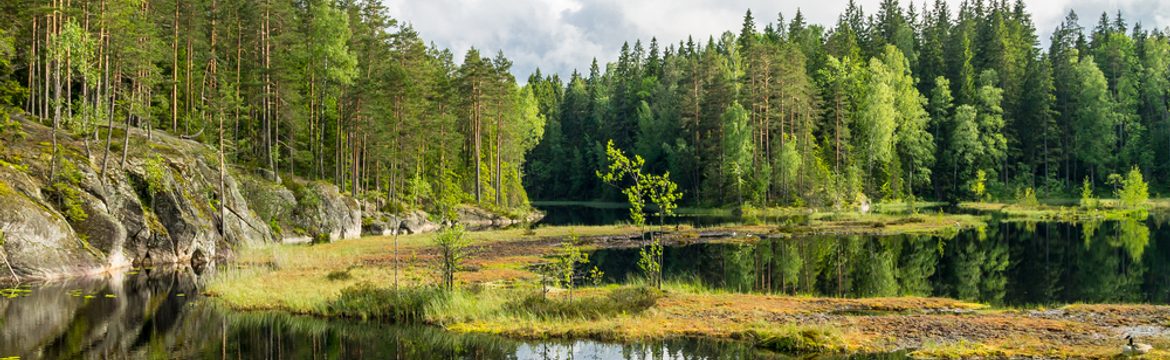 Featured image for Nuuksio National Park