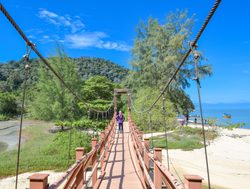 Penang National Park bridge over beach