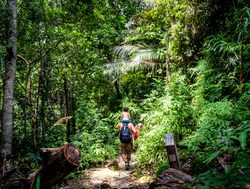 Penang National Park hikers
