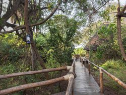 Podocarpus National Park boarded trail