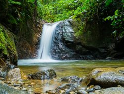Waterfall in Podocarpus National Park