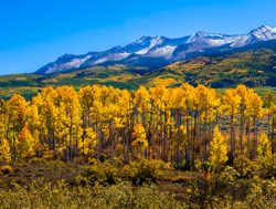 Rocky Mountain National Park fall foliage