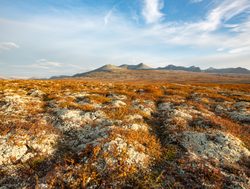 Rondane National Park autumn landscape