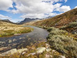 Rondane National Park small river