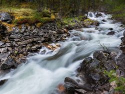 Rondane National Park stream