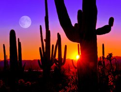 Saguaro National Park sunset with a moon
