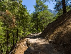 Samaria Gorge National Park hillside trail
