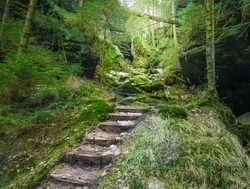 Saxon Switzerland National Park stoned stair trail