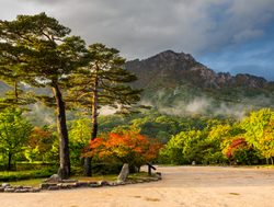 Seoraksan National Park valley