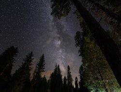 Sequoia National Park milkyway nighth sky
