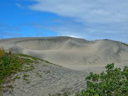 Sigatoka Sand Dunes National Park pristine sand