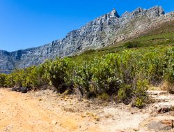 Table Mountain National Park with blue sky