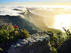 Table Mountain National Park with clouds rolling atop