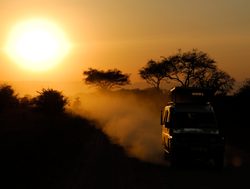 Tarangire National Park safari sunset