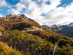 Tierra del Fuego National Park fall foliage
