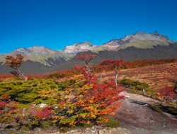 Tierra del Fuego National Park red fall foliage