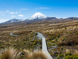 Tongariro National Park Mt Ruapehu trail