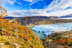 Parco Nazionale Torres del Paine caduta di fogliame e ghiacciaio