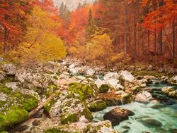 Triglav National Park fall foliage