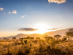 Tsavo East National Park sunrising landscape