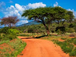 Tsavo West National Park park road