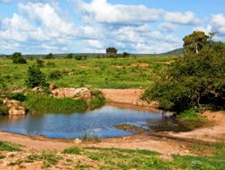 Tsavo West National Park watering hole