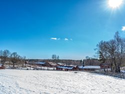 Tyresta National Park winter landscape