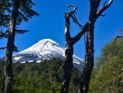 20211220225044 Lanin Volcano seen from Villarrica National Park