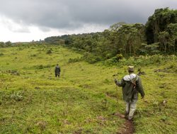 Virunga National Park trekking