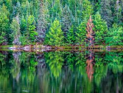 Voyageurs National Park flection on lake