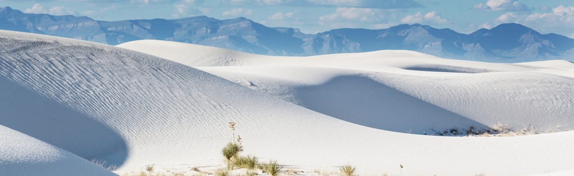 Featured image for White Sands National Park