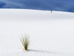 White Sands National Park pure white sand