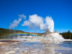 Yellowstone National Park castle geyser