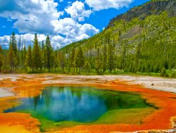Yellowstone National Park deep green blue geyser