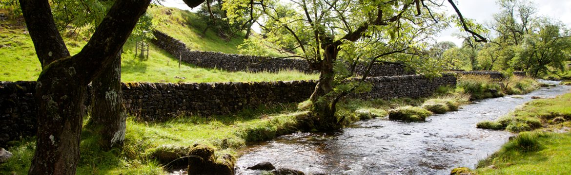 Featured image for Yorkshire Dales National Park