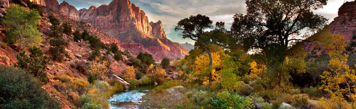 Featured image for Zion National Park