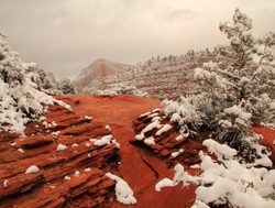 Zion National Park in snow