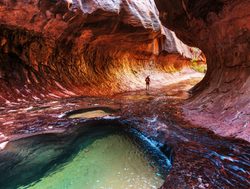 Zion National Park narrows